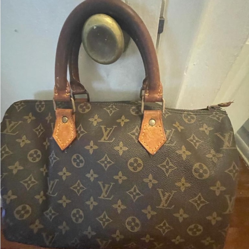 Louis Vuitton Speedy 35